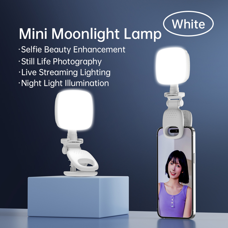 Photography Lighting Professional - ポータブルLEDセルフィーライトカメラミニフィルライト充電式スマホナイトライトUSBクランプランプ、ノートパソコン、タブレット、TikTokビデオ用