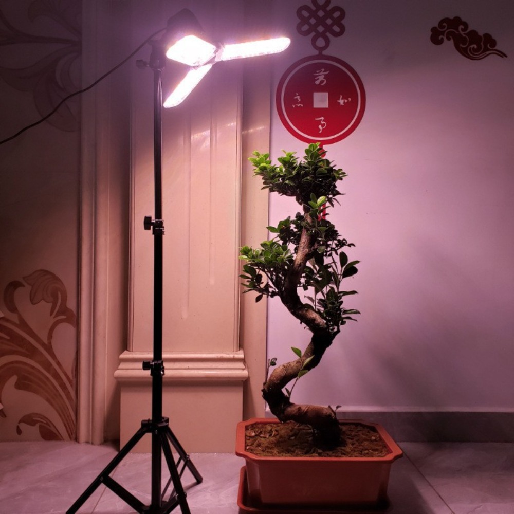 電球スタンド 2M、E27 ACソケット付き傘型ランプホルダ - Lighting In Photography Studio のレビューと価格