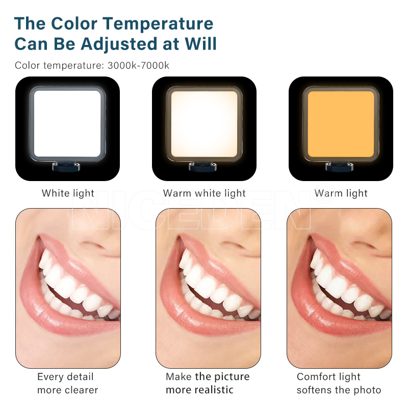 Niceden デンタルポータブルフラッシュライト写真撮影機 - Photography Lighting Portable のレビューと価格