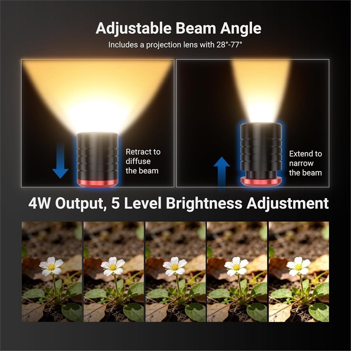 M05K マクロ写真用 LED ライト 4W ミニスポットラ - Photography Lighting Angles のレビューと価格